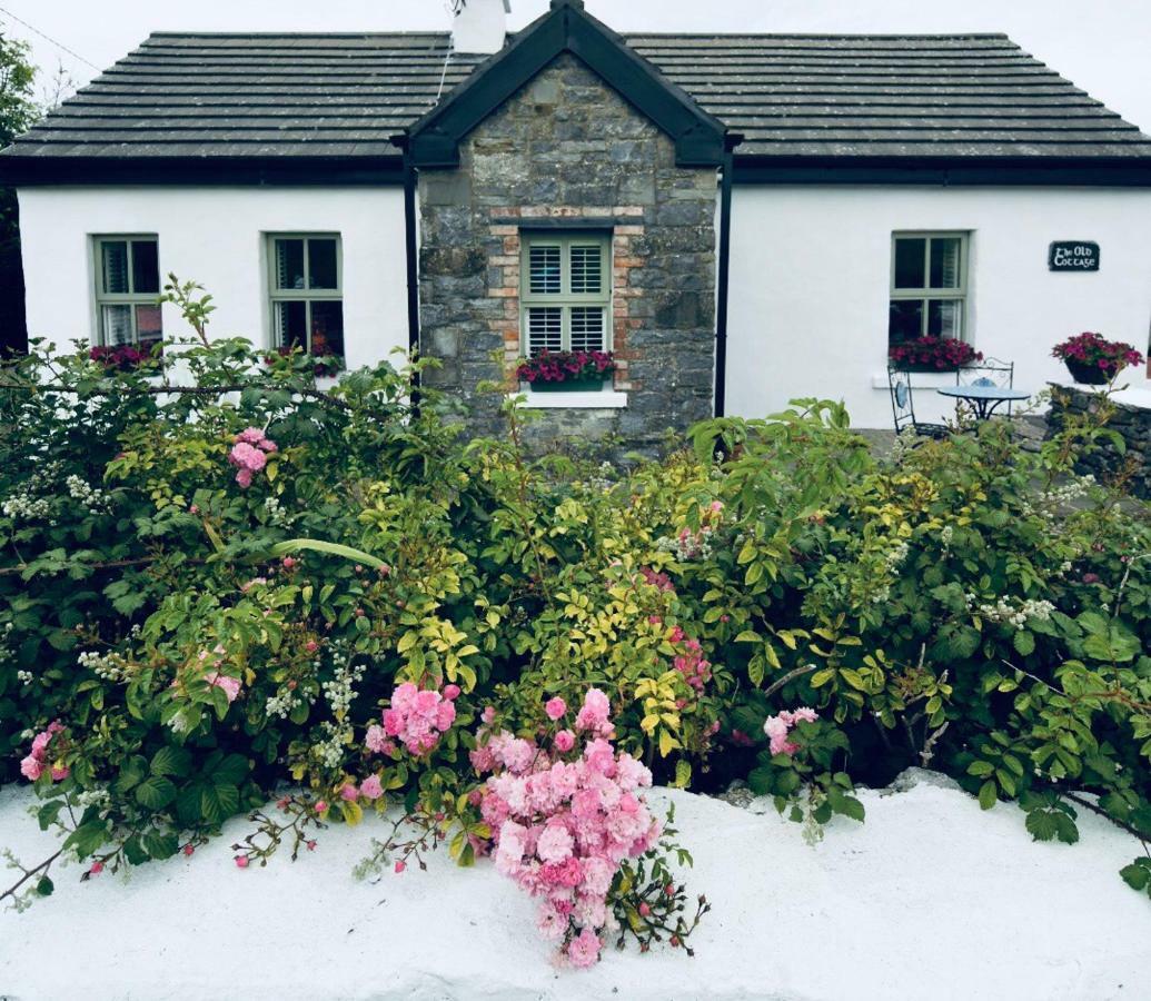 The Old Cottage ดูลิน ภายนอก รูปภาพ